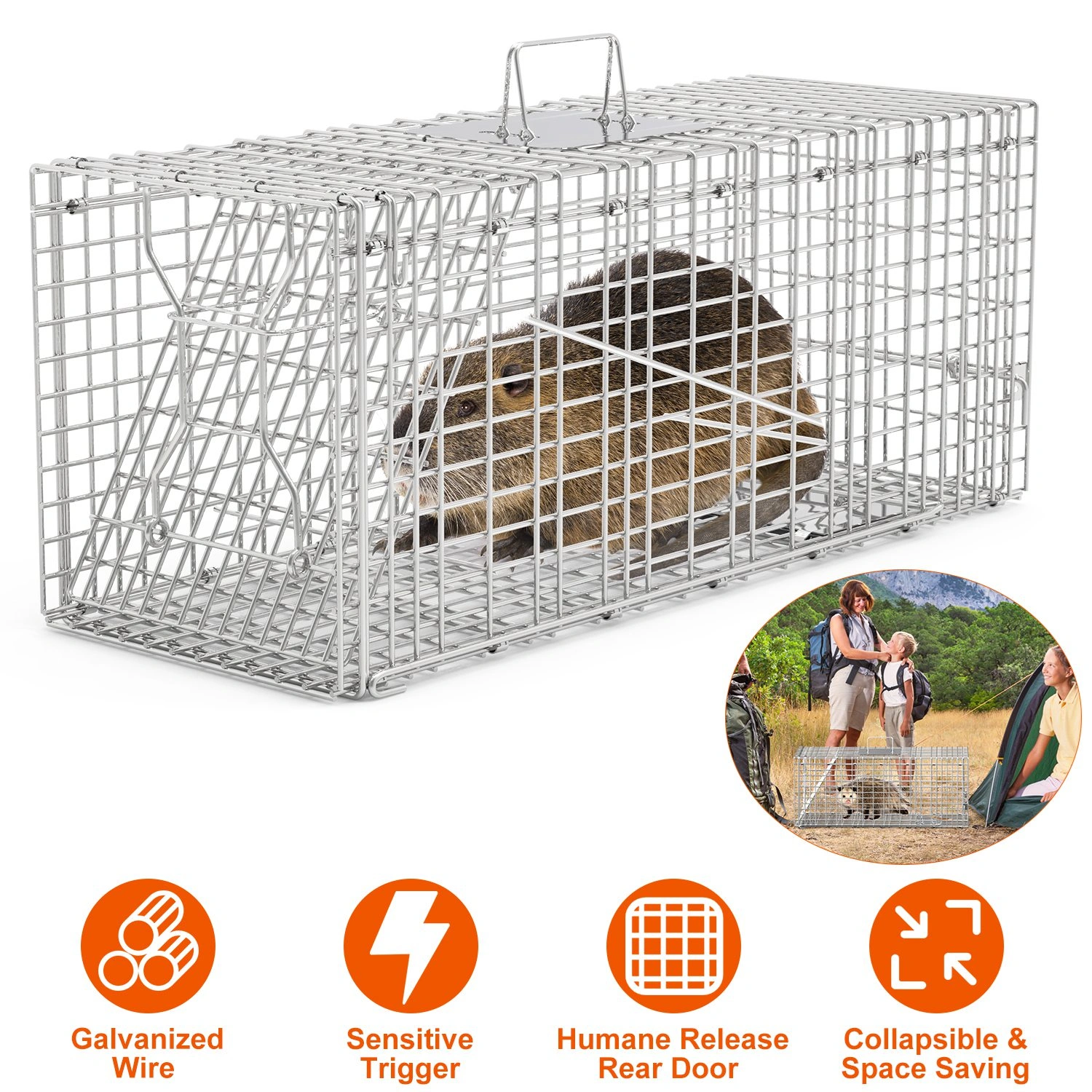 Humane Animal Trap Cage 30.51x11.02x11.81in, Galvanized Wire Mesh, Sensitive Trigger Dual Doors, Handle Guard Plate, Collapsible for Raccoons/Opossums/Skunks Under 16.5lbs